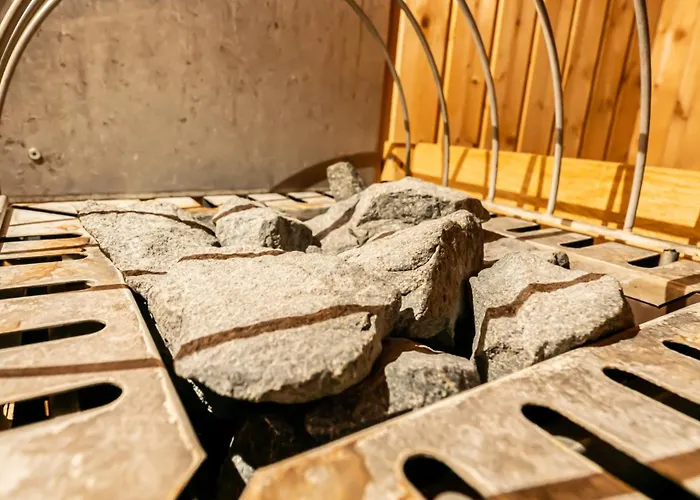 Pinzgauerhof By Alpeffect 3* Τσελ αμ Ζέε